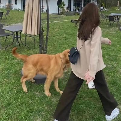 搏击芭蕾